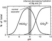First thumbnail for: Organogenic Dolomitization in Peritidal to Deep-Se...