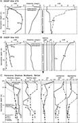 Third thumbnail for: Organogenic Dolomitization in Peritidal to Deep-Se...