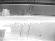 Second thumbnail for: Enhanced Sediment Scavenging Due to Double-Diffusi...