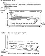 Second thumbnail for: The Effects of Topography on Sedimentation from Pa...