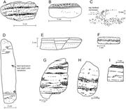 Third thumbnail for: Continent-Derived Vitric Mud and Mafic-Arc Rocks i...