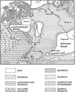 Third thumbnail for: The Significance of Hiatus Beds in Shallow-Water M...