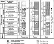 Third thumbnail for: Differential Preservation of Primary Isotopic Sign...