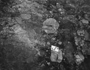 Third thumbnail for: Microstructures in Diamictites of the Lower Gowgan...