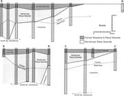 Third thumbnail for: Dolomitization and Dolomite Neomorphism: Trenton a...