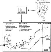 First thumbnail for: Carbonate Cementation in a Sequence-Stratigraphic ...