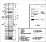 Second thumbnail for: Forest Fires, Climate, and Sea-Level Changes in a ...
