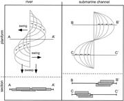 Third thumbnail for: A Process Model for the Evolution, Morphology, and...