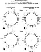 Third thumbnail for: Random Orientation of Wood on Two Tiny Alluvial Fa...