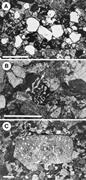 Third thumbnail for: Evolution of Mesozoic Sandstone Compositions, Sout...