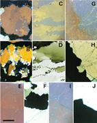 First thumbnail for: Some Examples of the Effect of Crystallographic Or...