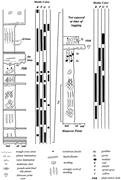 Third thumbnail for: The Paleohydrology of Lower Cretaceous Seasonal We...