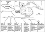 First thumbnail for: Factors Controlling Sediment Preservation on a Nor...