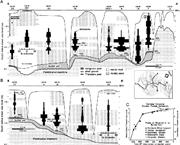 Second thumbnail for: Dolomitization of Holocene Shallow-Marine Deposits...