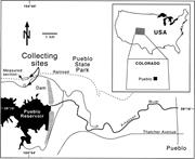 First thumbnail for: Stable Carbon and Oxygen Isotope Evidence of Creta...