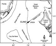 First thumbnail for: Differential Diagenesis of Rhythmic Limestone Alte...