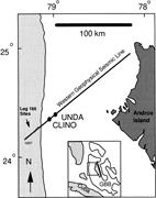 First thumbnail for: The Origin of Dolomites in Tertiary Sediments from...