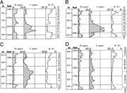 Third thumbnail for: Diagenesis of the Lower Permian Krider Member, Sou...