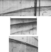 Second thumbnail for: Quaternary Phosphorites from the Continental Margi...