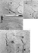 Second thumbnail for: Subsidence Structures Associated with Subaerial De...