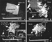 Third thumbnail for: Late Diagenetic Redistribution of Uranium and Dist...