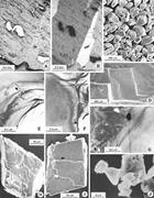 Second thumbnail for: Calcite Fabrics, Growth Mechanisms, and Environmen...