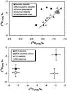 Third thumbnail for: Calcite Fabrics, Growth Mechanisms, and Environmen...