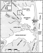 First thumbnail for: A Model for the Evolution of Marsh Shorelines
