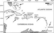 First thumbnail for: Dolomite Formation in Caribbean Islands: Driven by...