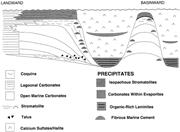 First thumbnail for: Evaporitic Subtidal Stromatolites Produced by in s...