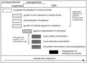 Third thumbnail for: The Influence of Rock Fabric and Mineralogy on The...