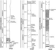 Second thumbnail for: Geochemistry of Early Siderite Cements from the Eo...
