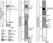 Third thumbnail for: Geochemistry of Early Siderite Cements from the Eo...