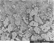 Third thumbnail for: High-Frequency Explosive Volcanic Eruptions in a L...