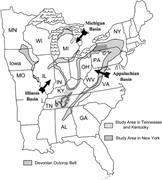 First thumbnail for: On the Origin and Significance of Pyrite Spheres i...