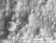 Second thumbnail for: On the Origin and Significance of Pyrite Spheres i...