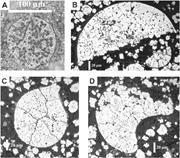 Third thumbnail for: On the Origin and Significance of Pyrite Spheres i...