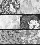 Second thumbnail for: Petrographic Observations of Iron, Copper, and Zin...