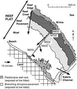 Second thumbnail for: Anatomy of a Modern Coral Reef Flat: A Recorder of...