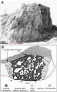 Third thumbnail for: Biosedimentology of a Silurian Thrombolite Reef wi...