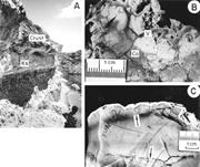 Second thumbnail for: Cherts with Moganite in Continental Mg-Clay Deposi...