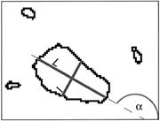 Second thumbnail for: Quantification of Bioturbation in Hemipelagic Sedi...