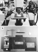 Second thumbnail for: An Integrated Cathodoluminescence Video-Capture Mi...