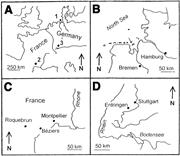 First thumbnail for: Microbially Induced Sedimentary Structures: A New ...