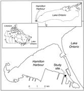 First thumbnail for: Structure, Stability, and Transformation of Contam...