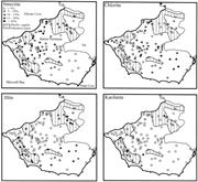 Third thumbnail for: The Origin of Clay Minerals in Soils of King Georg...
