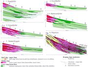 Third thumbnail for: Turbidite Variability and Architecture of Sand-Pro...