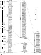 Third thumbnail for: Evolution and Mass Accumulation of the Cenozoic Ho...