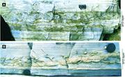 Second thumbnail for: Sediment Flow and Deformation (SFD) Layers: Eviden...