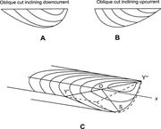 Third thumbnail for: Determination of Paleocurrent Direction from Obliq...